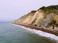 To the Edge: A Day Trip from Southampton to The Needles