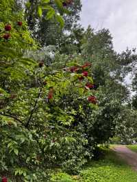  The Russian Versailles: A Walk Through Tsaritsyno  