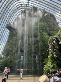 Leaf It to Singapore to Amaze Me 🌿