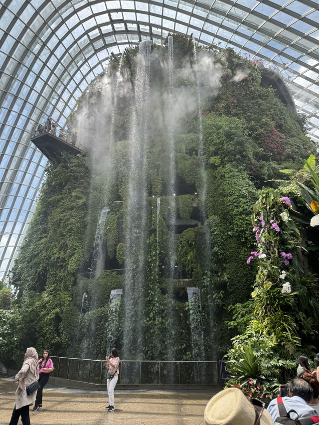 Leaf It to Singapore to Amaze Me 🌿