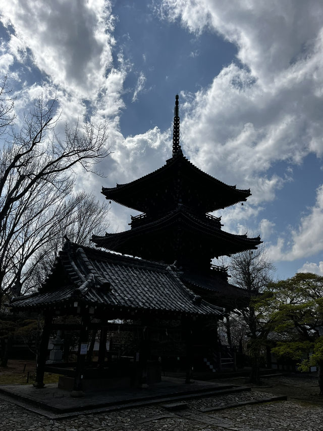 🍃⛩️ Kyoto – Where tradition whispers through every street 🇯🇵✨