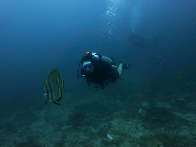 Diving into Ko Phi Phi