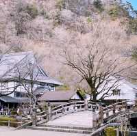 Tokyo Day Trip: Experience the Edo Era at Edo Wonderland