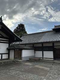 Japan Trip: Get ready to discover the ancient vibes of Nara!
