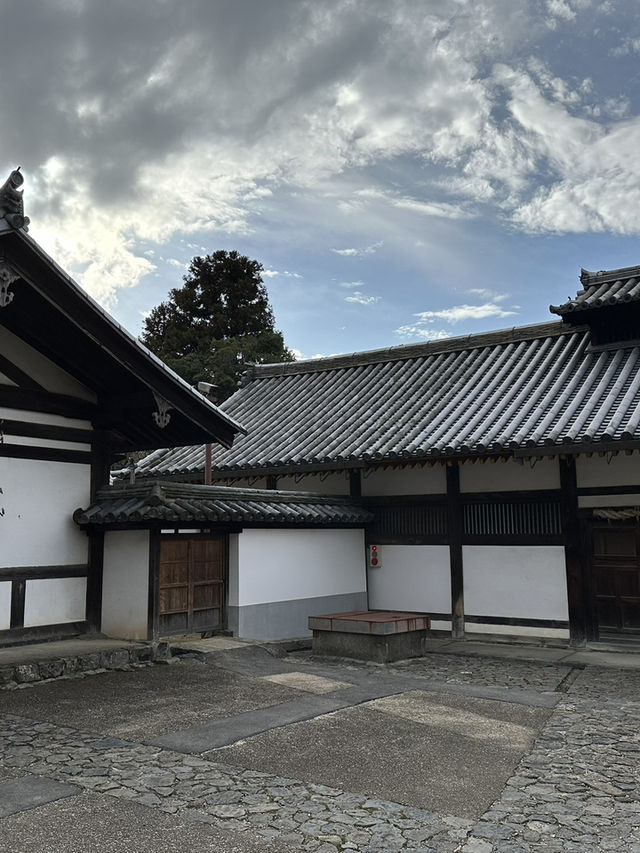 Japan Trip: Get ready to discover the ancient vibes of Nara!