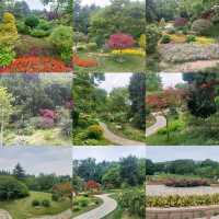 Qingdao 5 Days Travel Guide