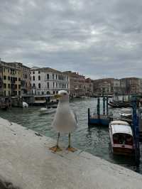Discover the Enchantment of Venice! 🇮🇹❤️