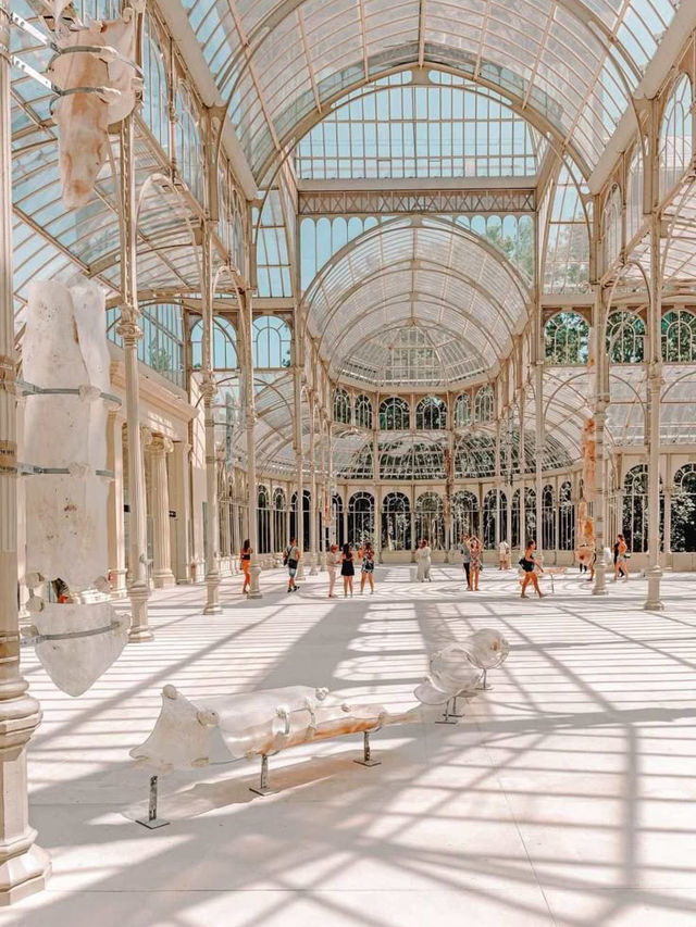 Experience the Vibrant Energy of Madrid! 🇪🇸❤️
