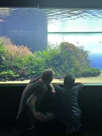 🌊 里斯本海洋博物館遊記