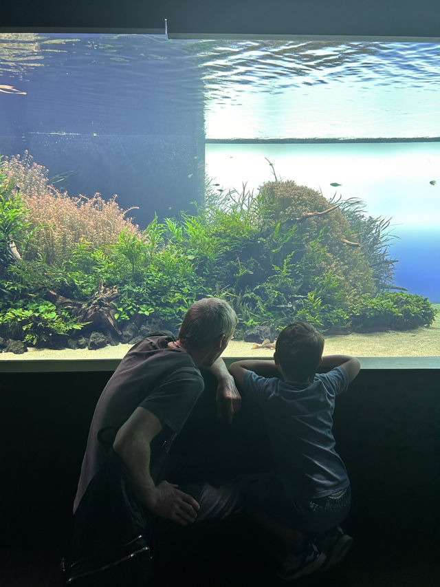 🌊 里斯本海洋博物館遊記