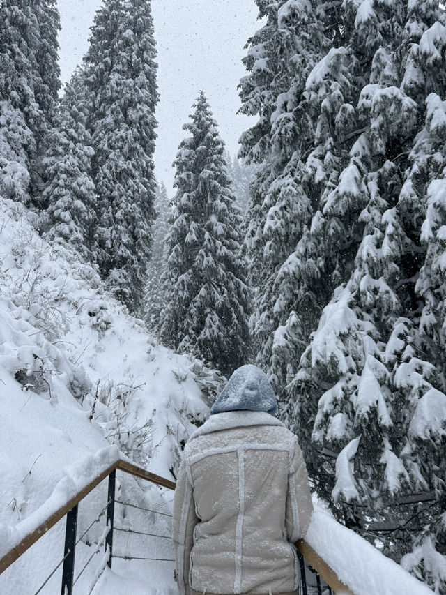 Горячие источники Алмарасан