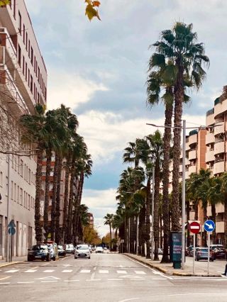 魅力的な町シャティバ：歴史と建築の世紀を巡る旅