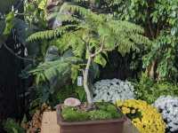 Muttart Conservatory