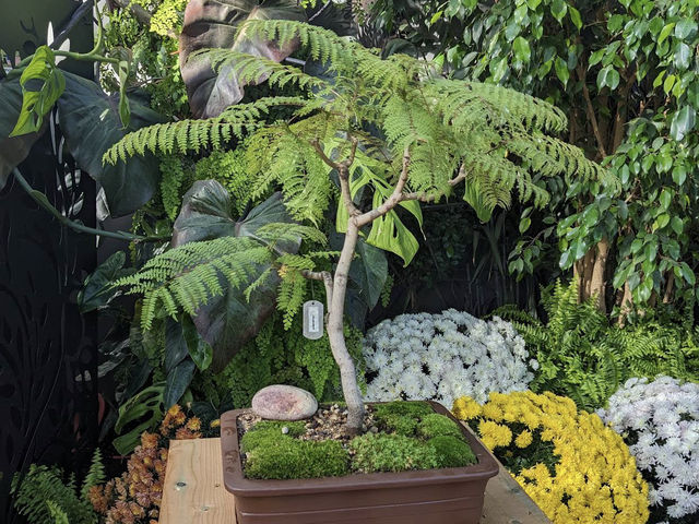 Muttart Conservatory