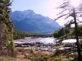 ロッキー山脈の咆哮：アサバスカ滝の春の雪解け 🏔️🌊 🇨🇦