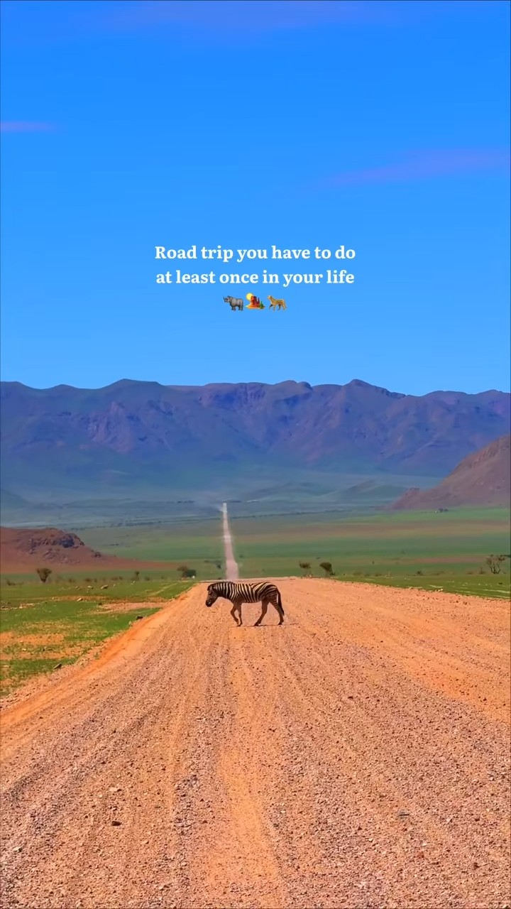 Road trip you have to do at least once in your life 🦏🌄🐆