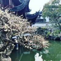 Yu Garden 