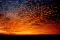 zephyrus_9609