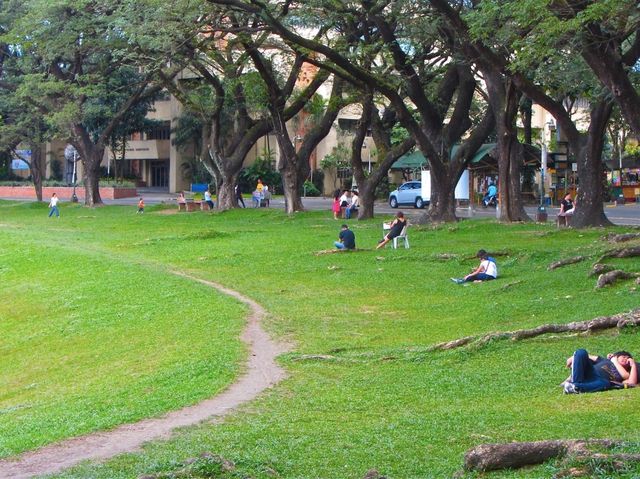 A Top University in the Philippines!🇵🇭