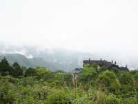 迷霧清境