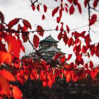 日本之秋：探訪賞楓勝地，濃情畫意🍁