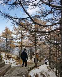 陝西寶雞—來太白山看雪