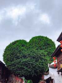 福建旅遊｜不許還有人沒到過三坊七巷