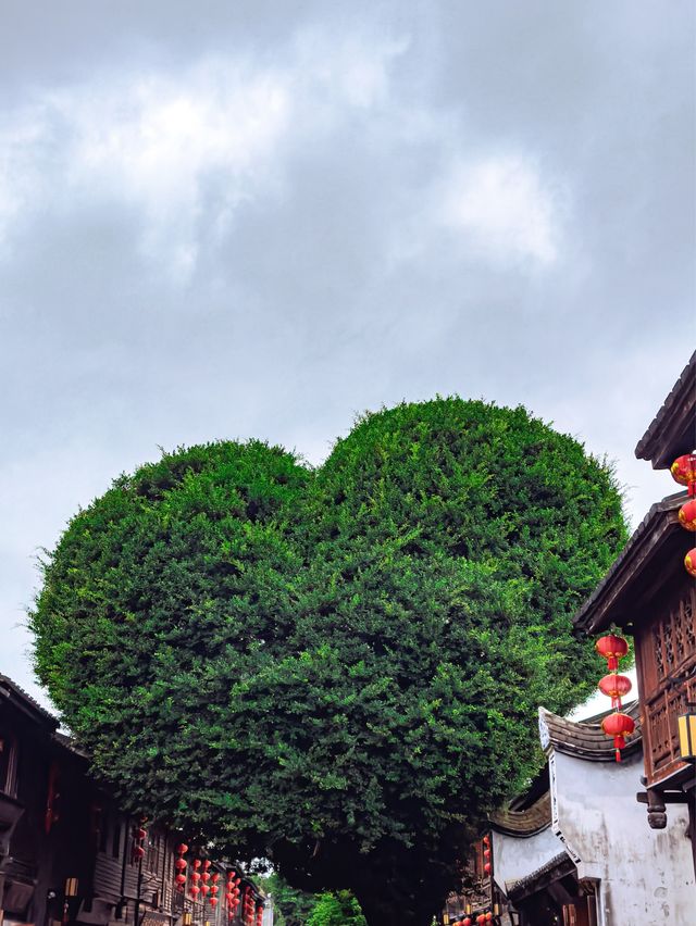 福建旅遊｜不許還有人沒到過三坊七巷