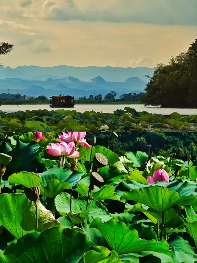 國內冷門寶藏旅行地|普者黑