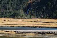 巴松措絕對是西藏可玩性最高的景區