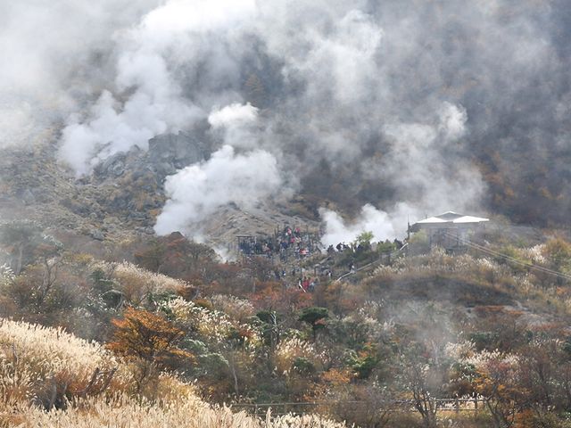 🇯🇵秋遊箱根大涌谷