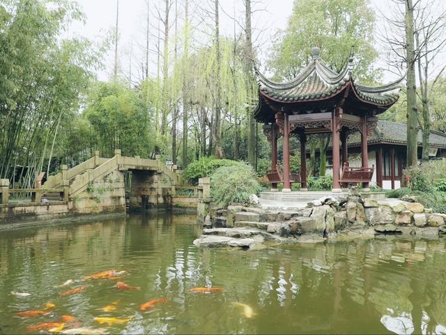 朱家角課植園|莊園式私家園林的秋景之美 朱家角課植園|莊園式私家園林的秋景之美