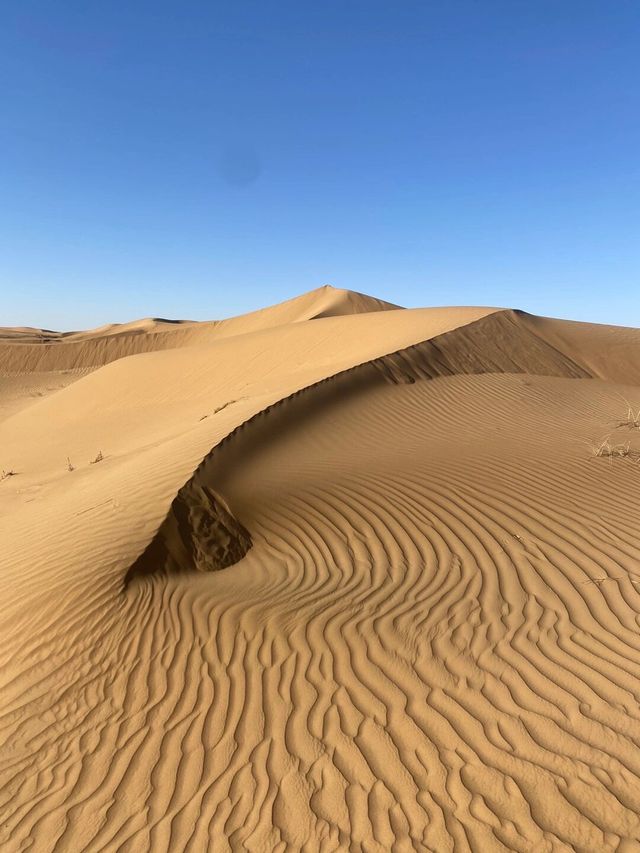 探尋沙漠奇觀——中衛沙坡頭景區