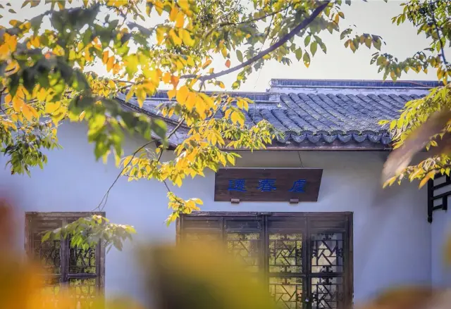 She alone surpasses you all - because she is my tulip