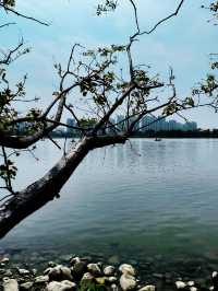 元旦假期不知道去哪玩？福州旗山湖公園是不錯的選擇！