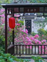 “一泉一湖兩水五山”，中海湯泉度假村的獨特魅力！