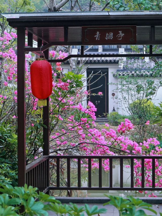 “一泉一湖兩水五山”，中海湯泉度假村的獨特魅力！
