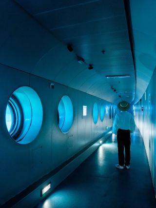 For this underwater museum|I flew to Chongqing