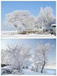 吉林霧凇島，中國四大自然奇觀之一，冬天裡的童話風景