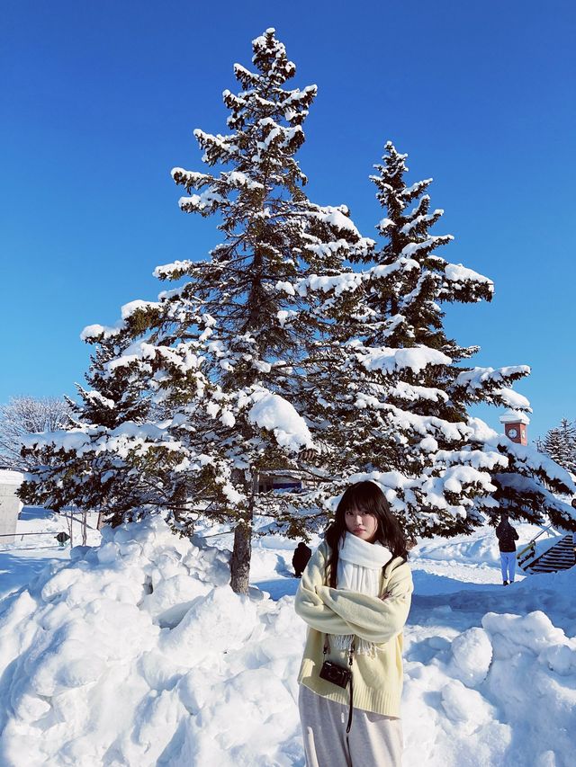 日本北海道最不可錯過的景點旭山動物園親子遊情侶出遊絕佳去處