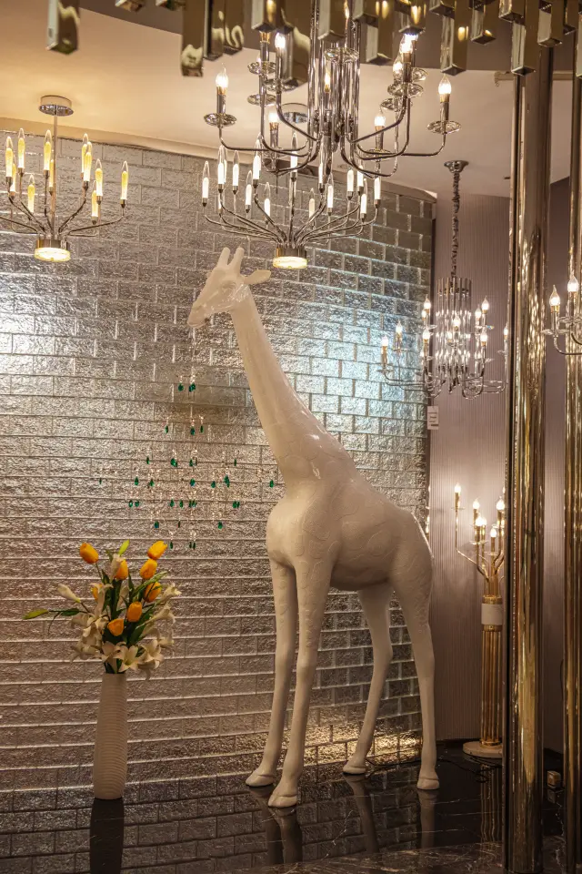 “ฝันที่นามธรรม   มหัศจรรย์แห่งแสงและเงา”