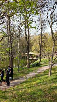 春天的共青森林公園，到哪裡都是風景，71