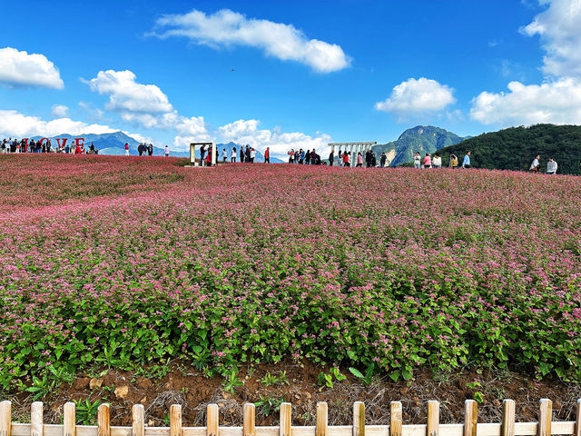 非常治癒的風景,來這裡視野開闊,心情嘎嘎好 非常治癒的風景,來這裡視野開闊,心情嘎嘎好