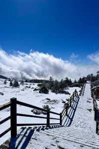 這真的不是在韓國是昆明雪山