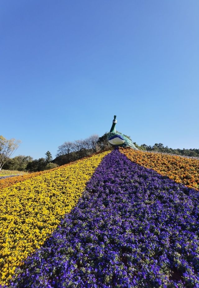 春意盎然的昆明世博園，免門票超全攻略！