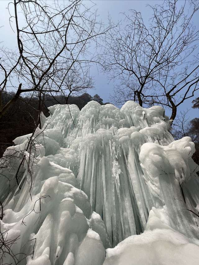 西安周邊遊|錯過又是一年，太白山賞雪景啦！