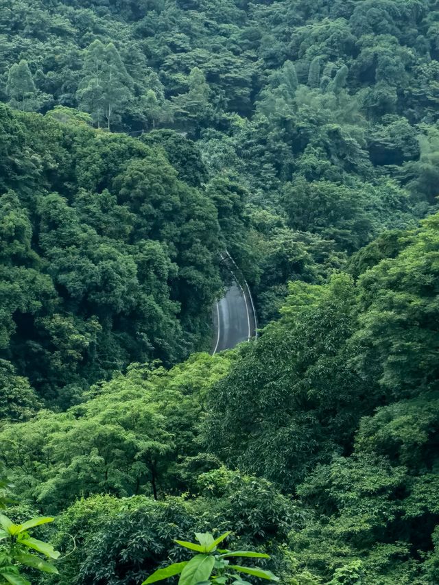 羅浮一片淨土～延祥古寺