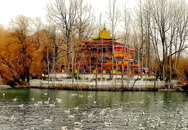 拉薩宗角祿康公園遊記