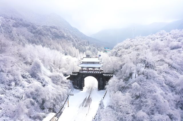 直通車來啦