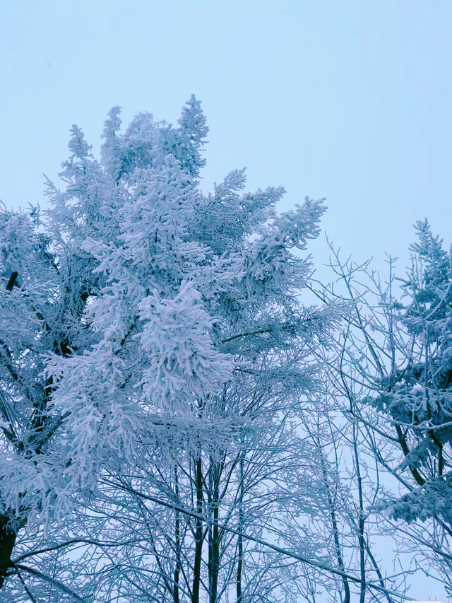 行走在神聖的冰雪時空|秦嶺·小峪草甸